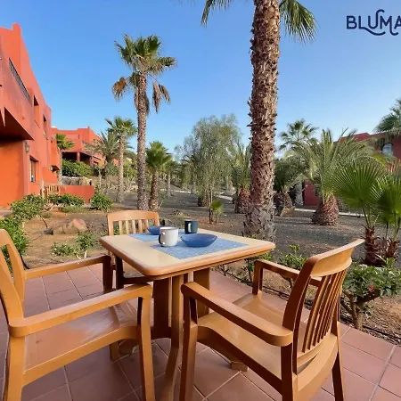 Tamarindo Blumarine - Pool & Wifi Free 4 Persons * Corralejo