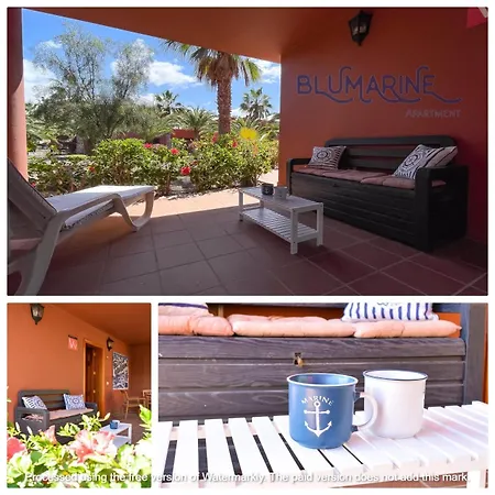 Tamarindo Blumarine - Pool & Wifi Free 4 Persons * Corralejo