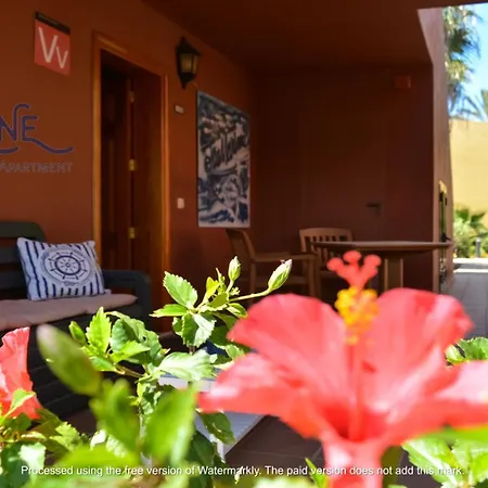 Tamarindo Blumarine - Pool & Wifi Free 4 Persons * Corralejo